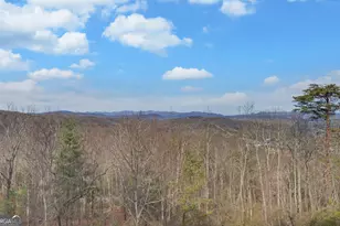 990 Hickory Nut Mountain, Tallulah Falls, GA 30573 - Photo 67