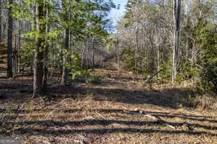 40 Huntington Ridge Rd, Blairsville, GA 30512 - Photo 67