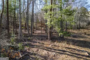 40 Huntington Ridge Rd, Blairsville, GA 30512 - Photo 65