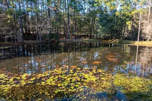 37 Duane Dr, Tifton, GA 31794 - Photo 61