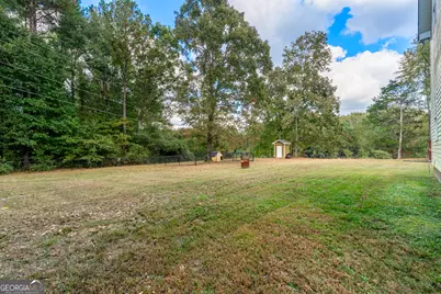 244 Dodgen Road, Hampton, GA 30228 - Photo 57