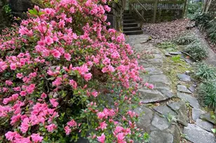 2073 E Roxboro Rd NE, Brookhaven, GA 30324 - Photo 19