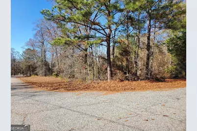 0 Tyler Court, Fort Valley, GA 31030 - Photo 1