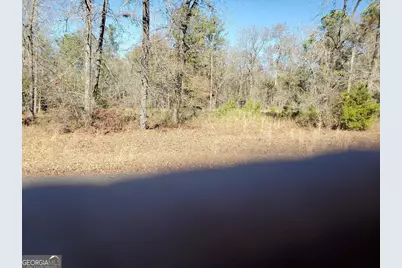 0 Tyler Court, Fort Valley, GA 31030 - Photo 3