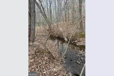 1425 Dowdy, Roopville, GA 30170 - Photo 31