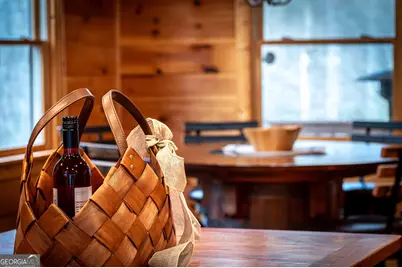 850 Mountain Lake Circle, Blue Ridge, GA 30513 - Photo 11