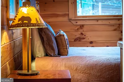 850 Mountain Lake Circle, Blue Ridge, GA 30513 - Photo 29