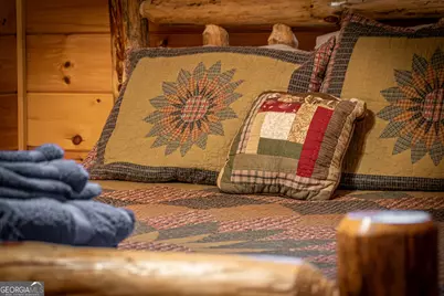 850 Mountain Lake Circle, Blue Ridge, GA 30513 - Photo 35