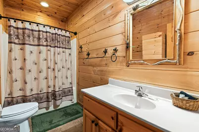 850 Mountain Lake Circle, Blue Ridge, GA 30513 - Photo 47