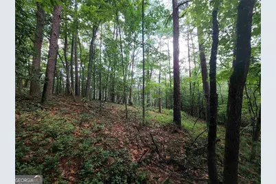 0 Rosen Strasse, Helen, GA 30545 - Photo 1