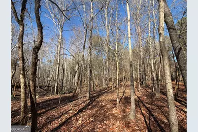 6055 Sunhill Grange Road, Sandersville, GA 31082 - Photo 11