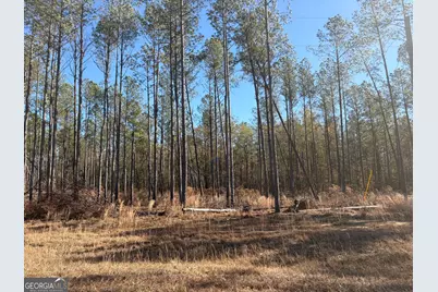 6055 Sunhill Grange Road, Sandersville, GA 31082 - Photo 9