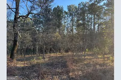 1421 Pullman Lane, Greensboro, GA 30642 - Photo 11