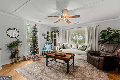 99 Antioch Road, Franklin, GA 30217 - Photo 7