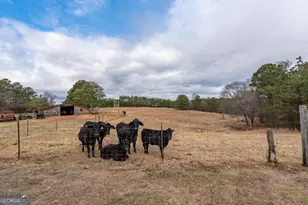 99 Antioch Rd, Franklin, GA 30217 - Photo 17