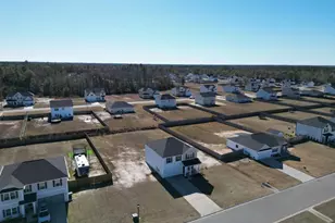 182 Whippoorwill Wy NE, Ludowici, GA 31316 - Photo 47