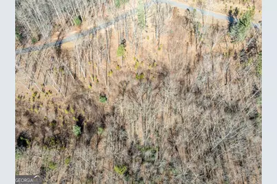 Lot 132 Highland Park, Blairsville, GA 30512 - Photo 13