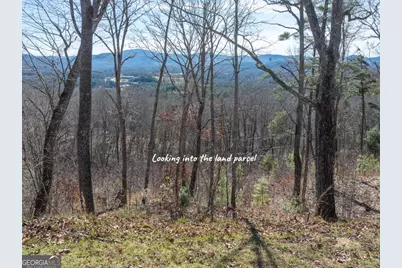 Lot 132 Highland Park, Blairsville, GA 30512 - Photo 3