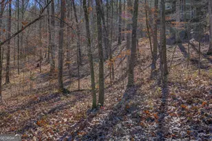 131 Woods Rd, Juliette, GA 31046 - Photo 77