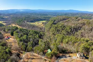 363 Crestview Drive, Morganton, GA 30560 - Photo 15