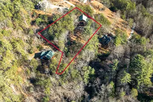 363 Crestview Drive, Morganton, GA 30560 - Photo 17