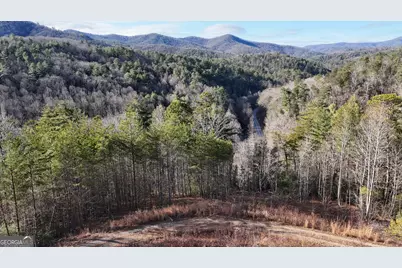 389 Wilderland Trail, Helen, GA 30545 - Photo 55