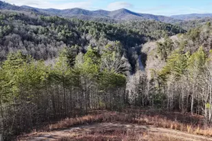 389 Wilderland Trail, Helen, GA 30545 - Photo 55