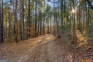 870 Bertha Willis Rd, Carlton, GA 30627 - Photo 35