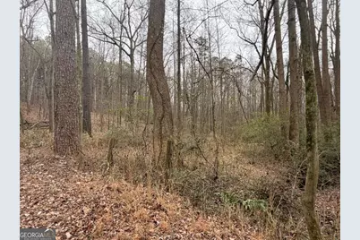 1830 US Highway 27 N, Bremen, GA 30110 - Photo 7