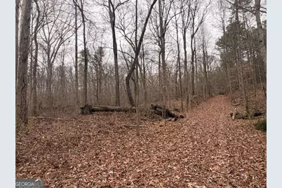 1830 US Highway 27 N, Bremen, GA 30110 - Photo 5