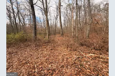 1830 US Highway 27 N, Bremen, GA 30110 - Photo 3