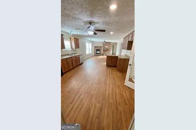 21 Ruby Road, Hawkinsville, GA 31036 - Photo 9
