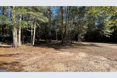 21 Ruby Road, Hawkinsville, GA 31036 - Photo 3