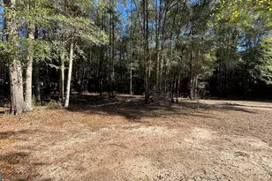 21 Ruby Rd, Hawkinsville, GA 31036 - Photo 3