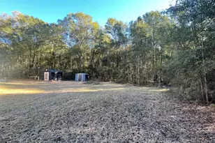 21 Ruby Rd, Hawkinsville, GA 31036 - Photo 5