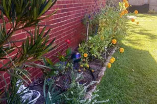 605 Patrick Way, Statesboro, GA 30458 - Photo 47