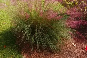 605 Patrick Way, Statesboro, GA 30458 - Photo 43