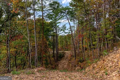 Lot 269 Canoe Way, Talking Rock, GA 30175 - Photo 19