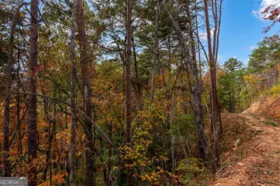 Lot 269 Canoe Way, Talking Rock, GA 30175 - Photo 15