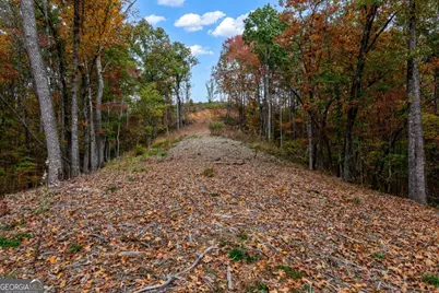 Lot 269 Canoe Way, Talking Rock, GA 30175 - Photo 23