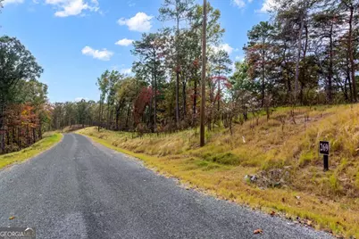 Lot 269 Canoe Way, Talking Rock, GA 30175 - Photo 11