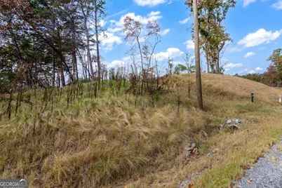 Lot 269 Canoe Way, Talking Rock, GA 30175 - Photo 13