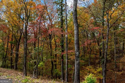 Lot 269 Canoe Way, Talking Rock, GA 30175 - Photo 21
