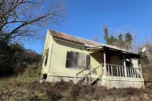 628 M L King St, Greenville, GA 30222 - Photo 3