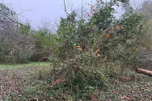 628 M L King St, Greenville, GA 30222 - Photo 15