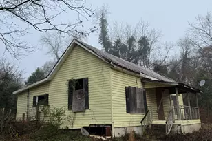 628 M L King St, Greenville, GA 30222 - Photo 5