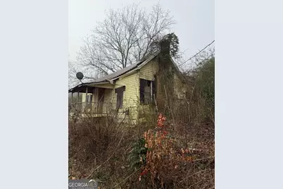 628 M L King Street, Greenville, GA 30222 - Photo 19