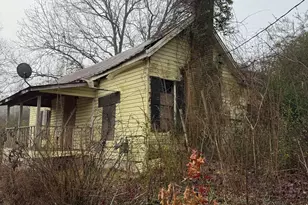 628 M L King St, Greenville, GA 30222 - Photo 19