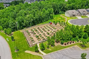 527 Hazelnut Dr, Peachtree City, GA 30269 - Photo 61