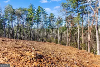 6.44 Whispering Oaks Drive, Ellijay, GA 30540 - Photo 29